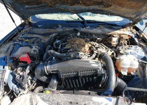 2024 Ford Mustang Ecoboost Fastback z USA, uszkodzony, nr VIN 1FA6P8TH7R5122432